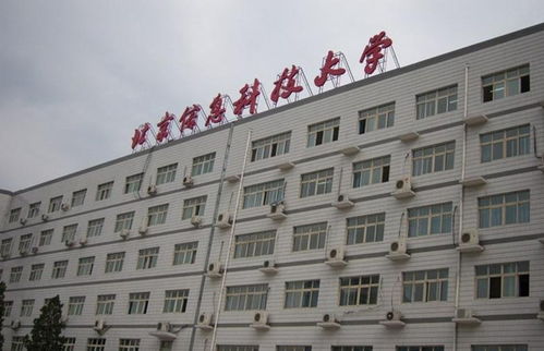 青春奉獻，科技賦能——記北京信息科技大學(xué)青年志愿者協(xié)會的信息技術(shù)咨詢志愿服務(wù)